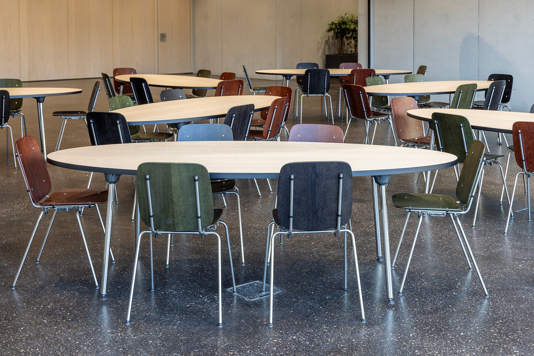 Seledue_Coray_Gymi_Thun_08