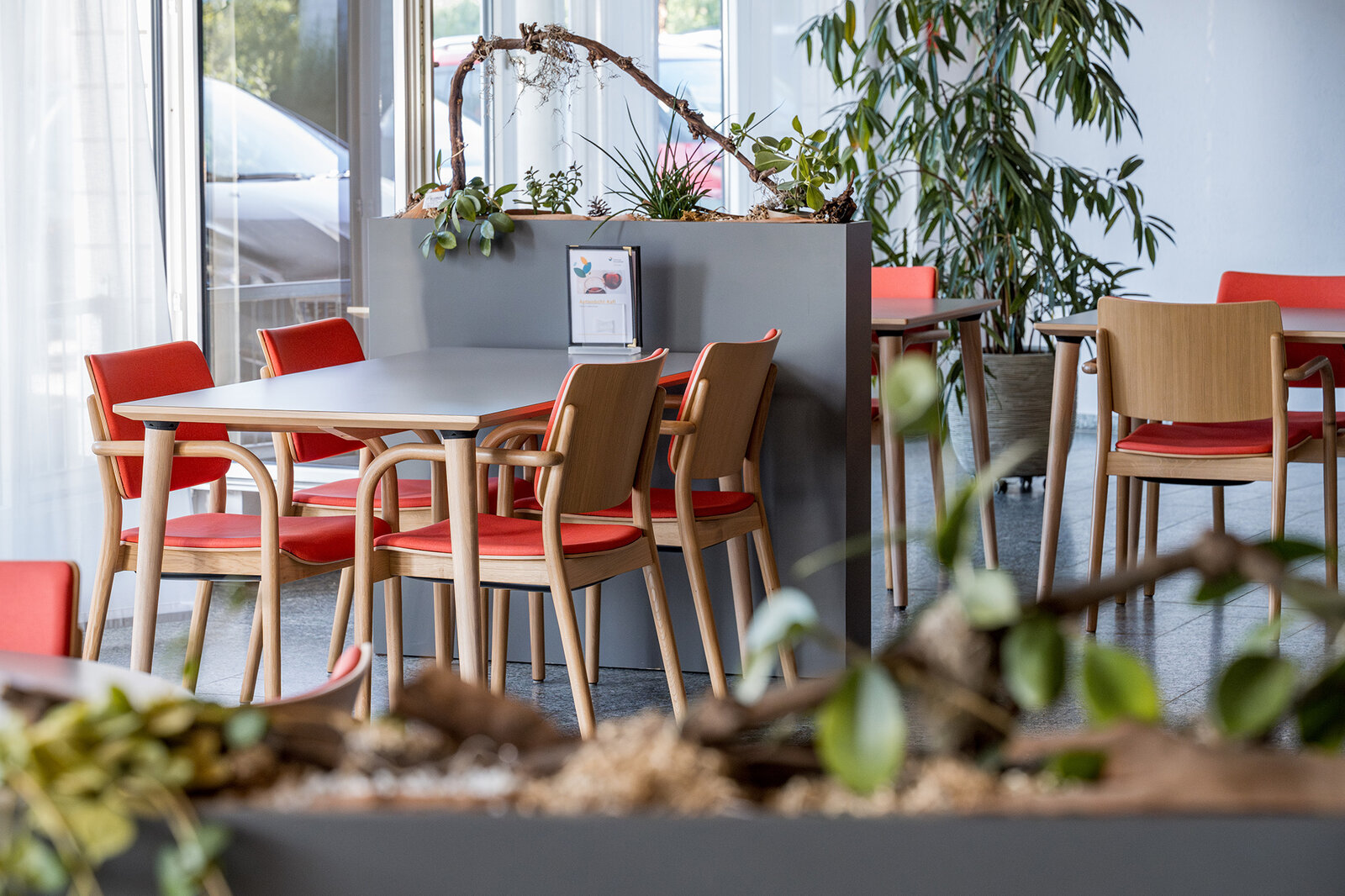 Zentrum Aettenbühl, Sins